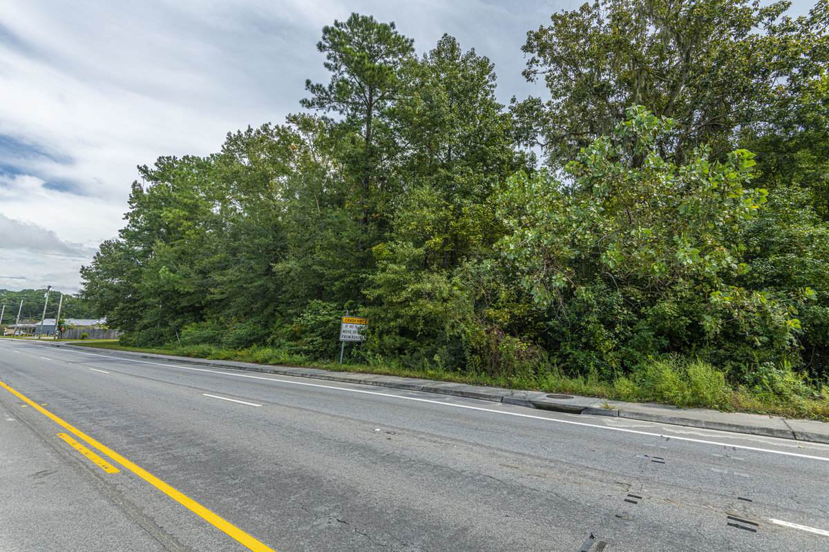 Ladson Road/Avenue Of Oaks - Photo 1