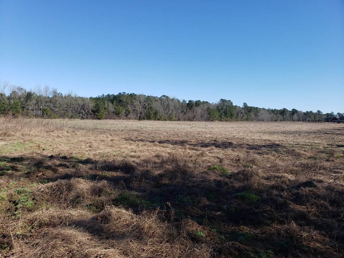 0 Myers Mayo Road - Photo 1
