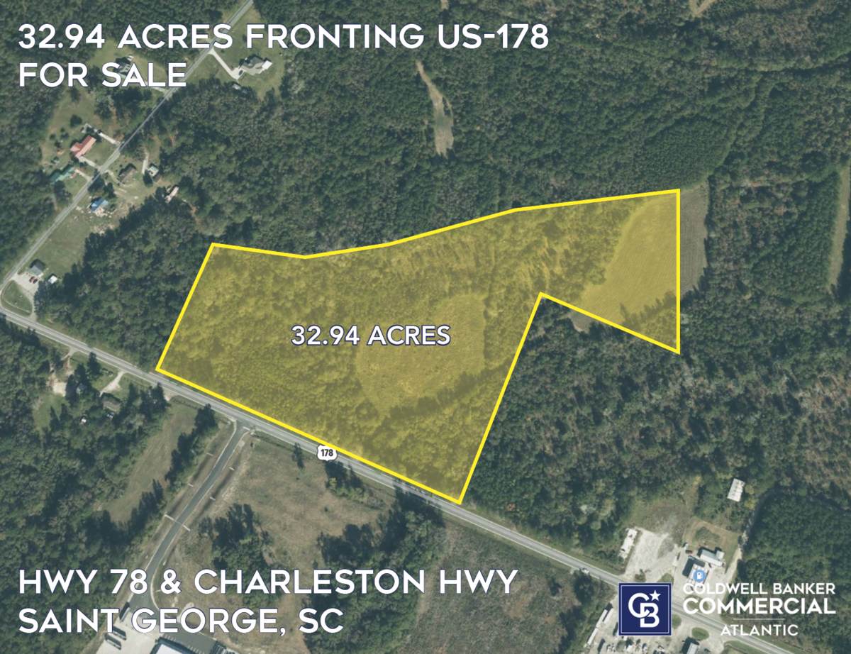 Hwy 78 & Charleston Hwy - Photo 1