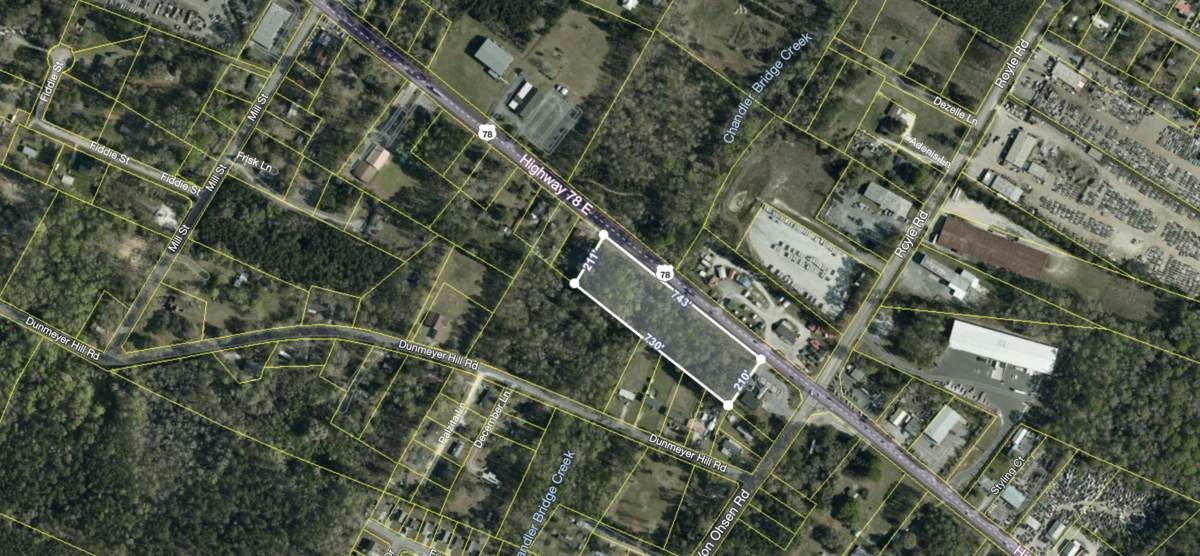 10333 Hwy 78 - Photo 1