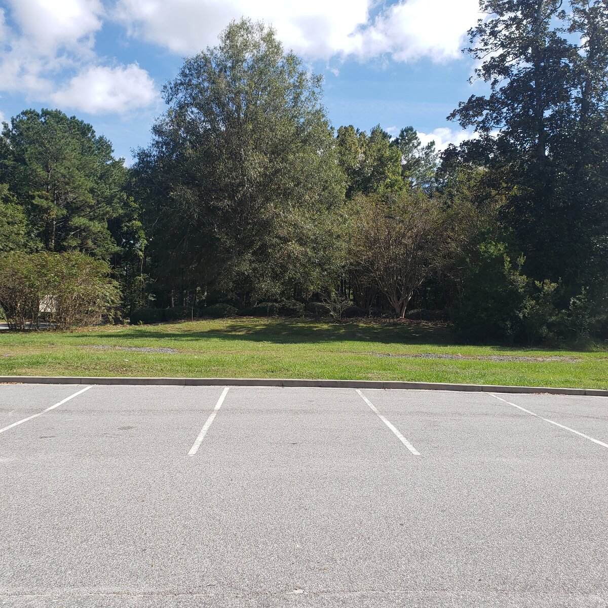 5401 Netherby Lane - Photo 1