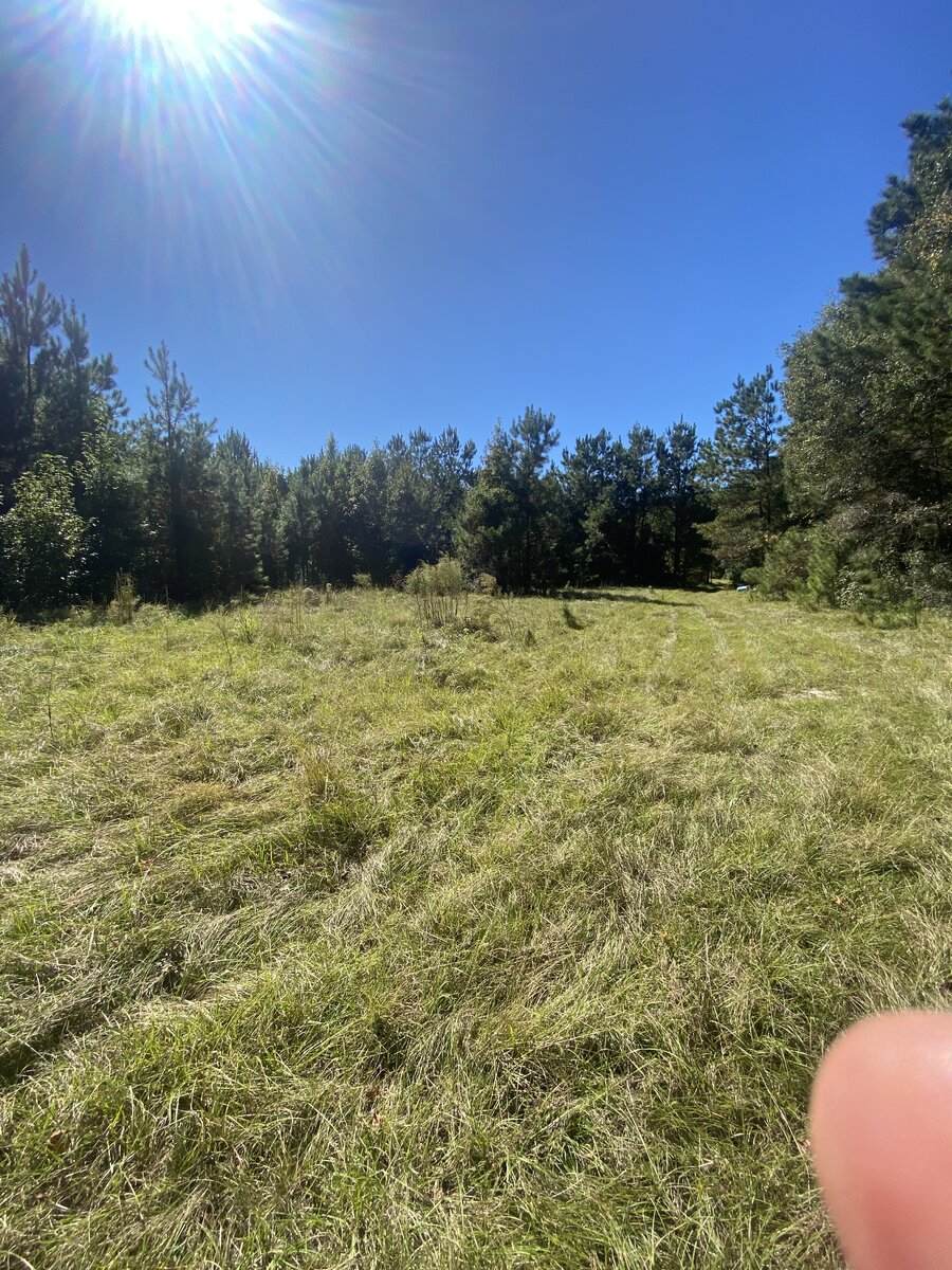 259 Interstate Drive - Photo 1