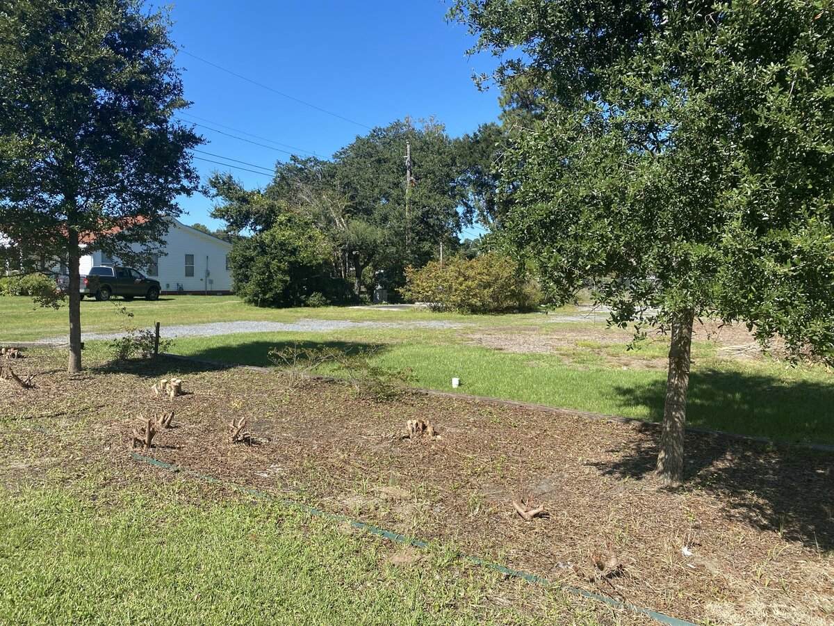 2456 Savannah Hwy - Photo 1