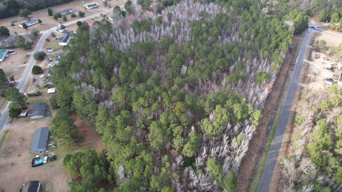 271 Mcallister Rd - Photo 1