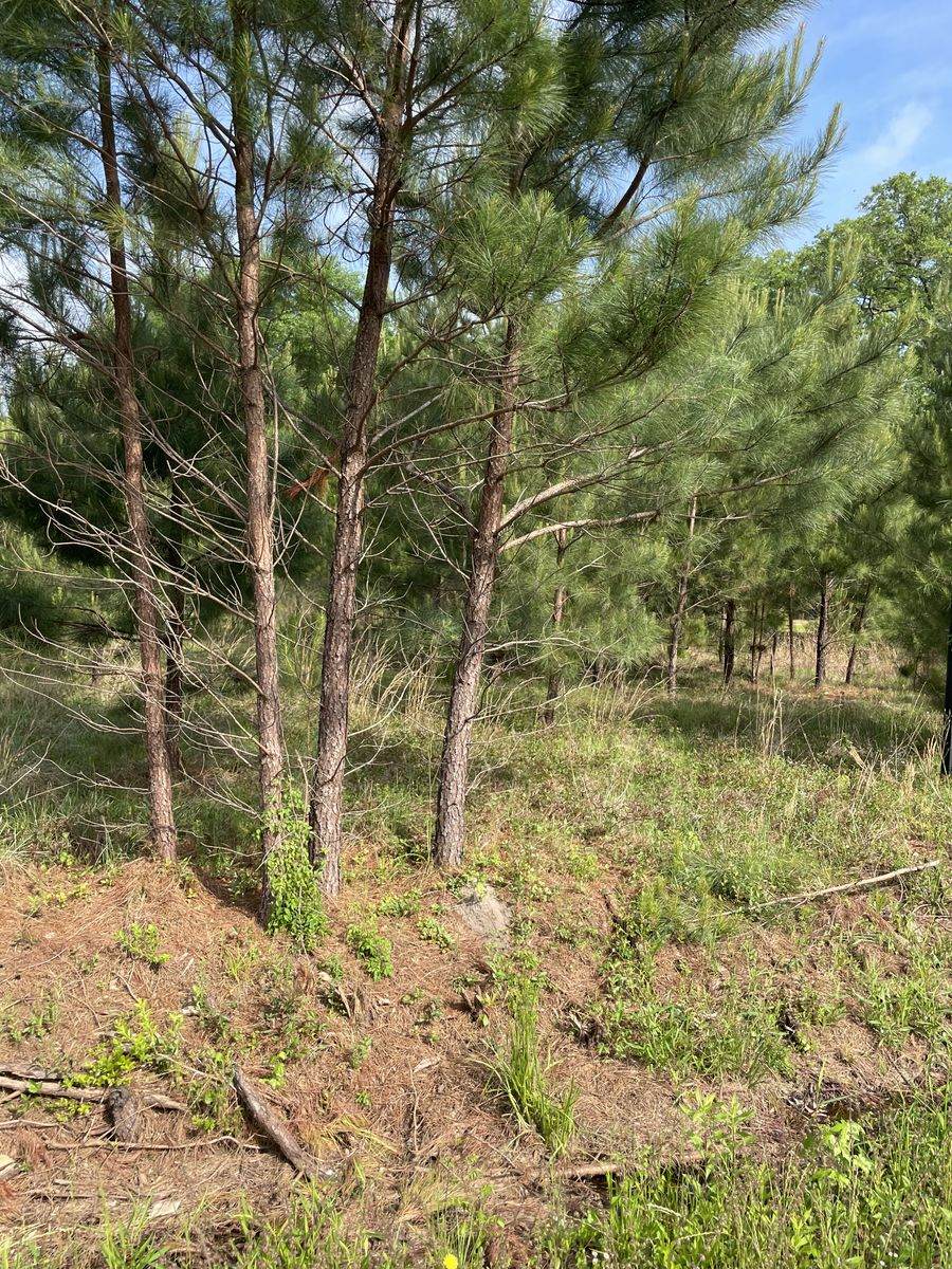 5239 Sc Hwy165 - Photo 1