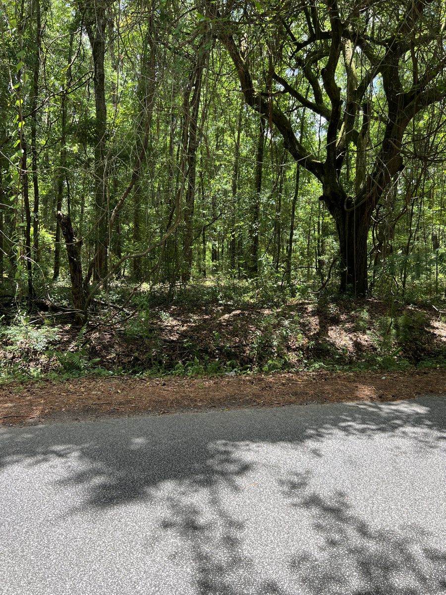 00 Cane Slash Road - Photo 1