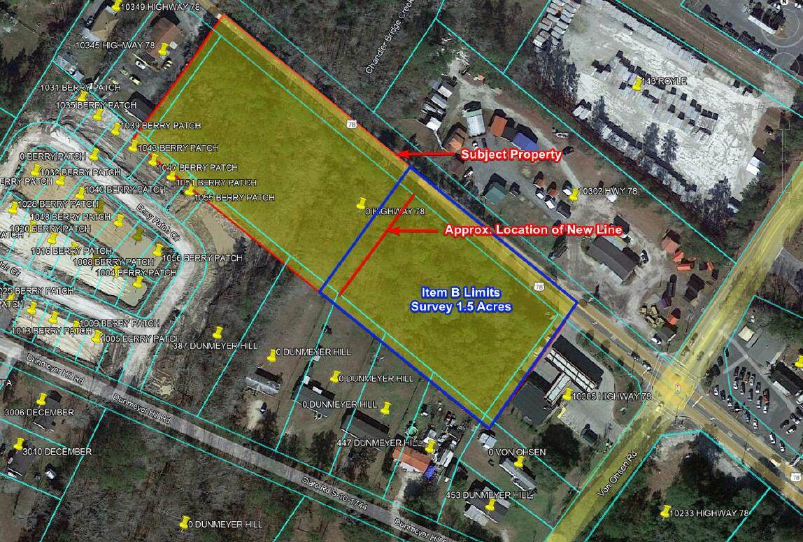 10333 Hwy 78 - Photo 1