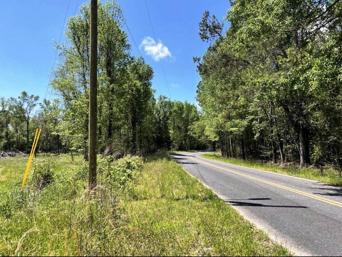 00000 Annavesta Road - Photo 1