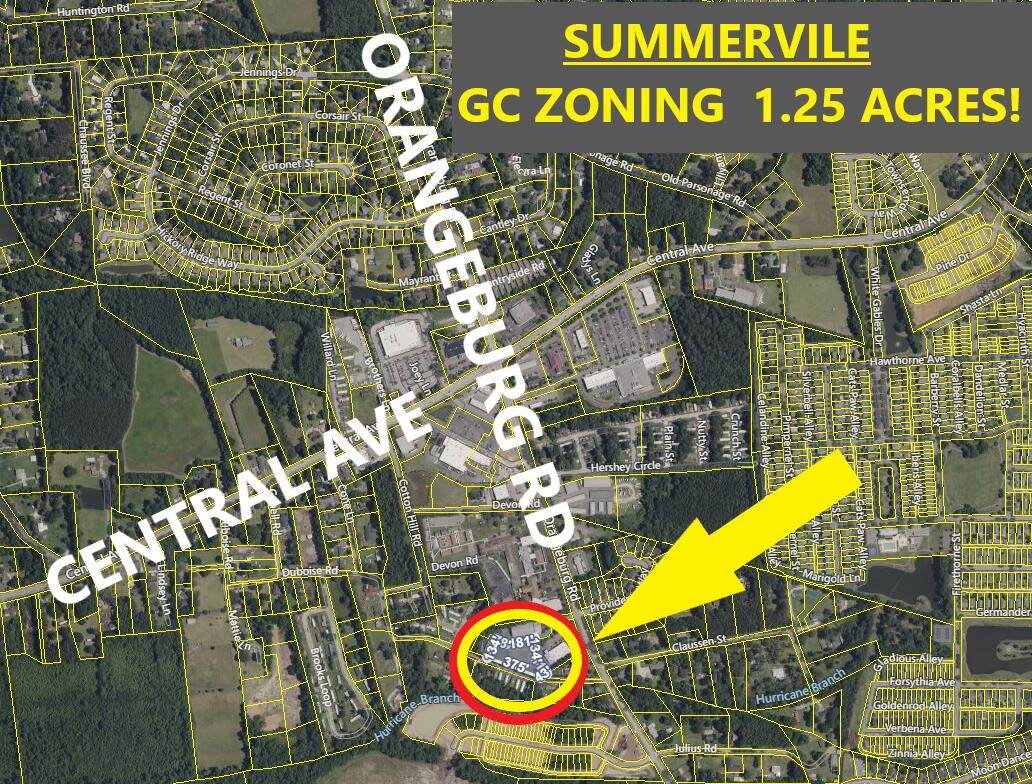 0 Orangeburg Road - Photo 1