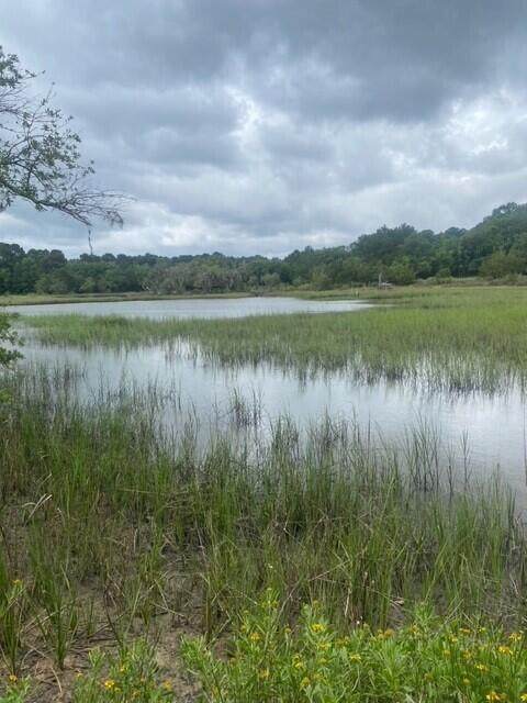 4141 Highway 174 - Photo 1