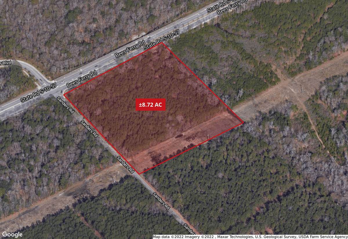  Sanders And Bees Ferry Rd - Photo 1