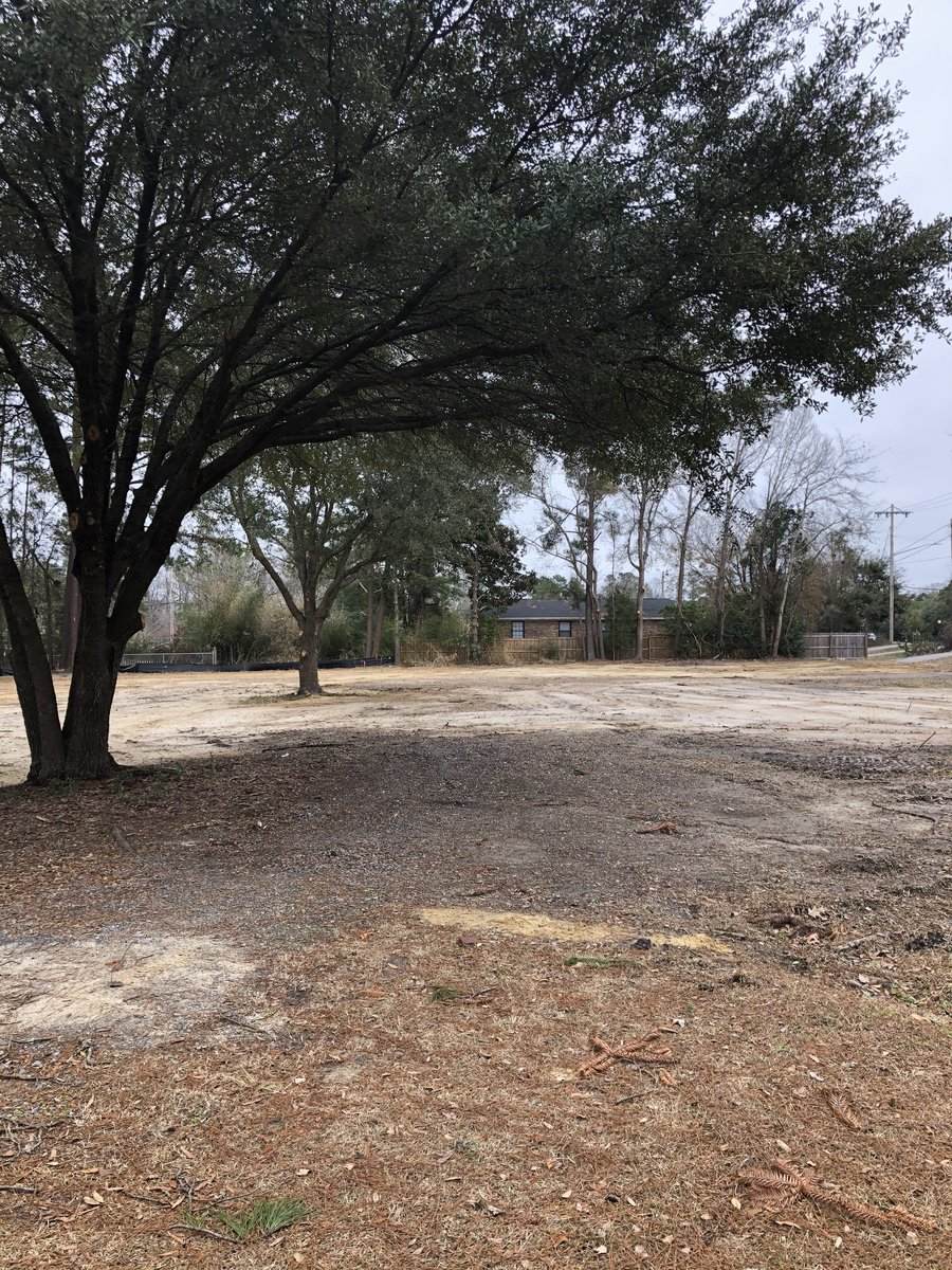 109 Live Oak Drive (Highway17-A) - Photo 1