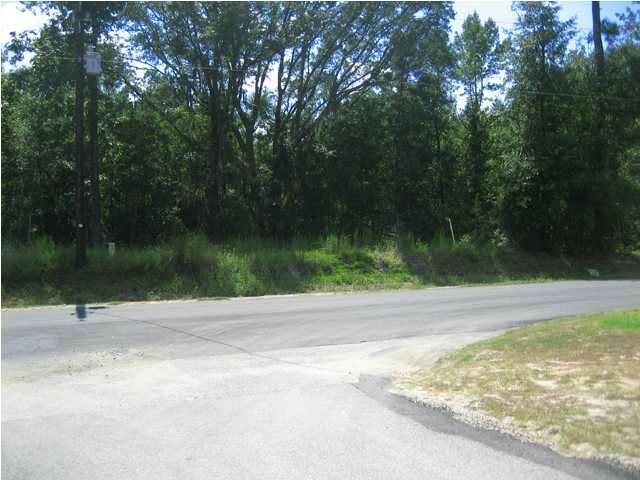 MABLE T. Willis Blvd - Photo 1