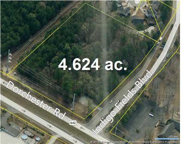 8245 Dorchester Rd - Photo 1