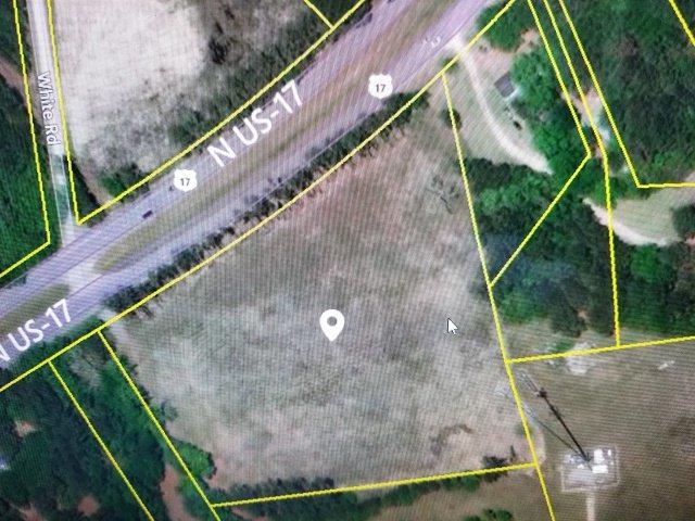 Lot 0 N. Highway 17 - Photo 1