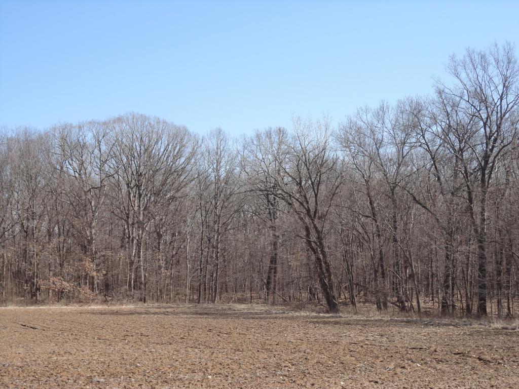 LOT 1 1775 Road - Photo 1