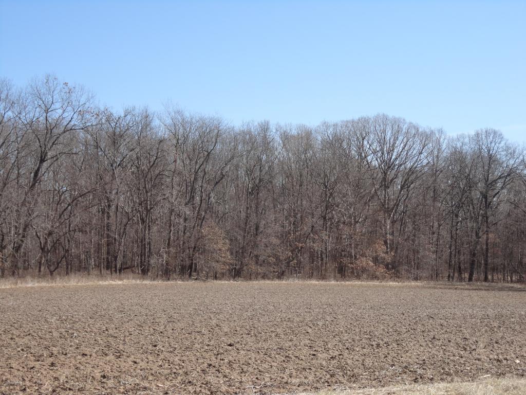 LOT 2 1775 Road - Photo 1