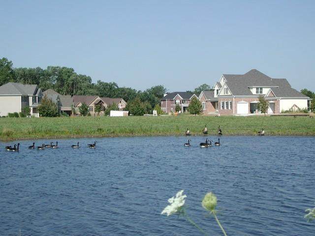Lot 93 Lake Reunion Parkway - Photo 1