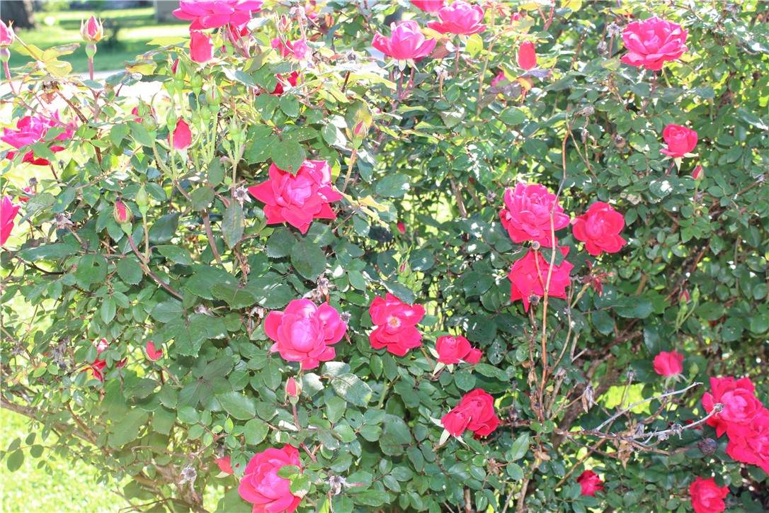 https://bt-photos.global.ssl.fastly.net/cibr/orig_boomver_1_6251986-2.jpg