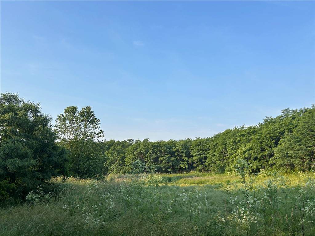 50 Acres Off Of Jordan Rd - Photo 1