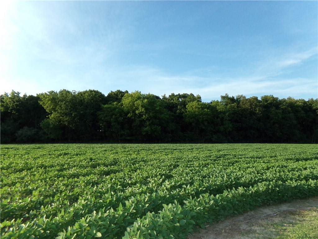 #11 Deer Lake Estates - Photo 1