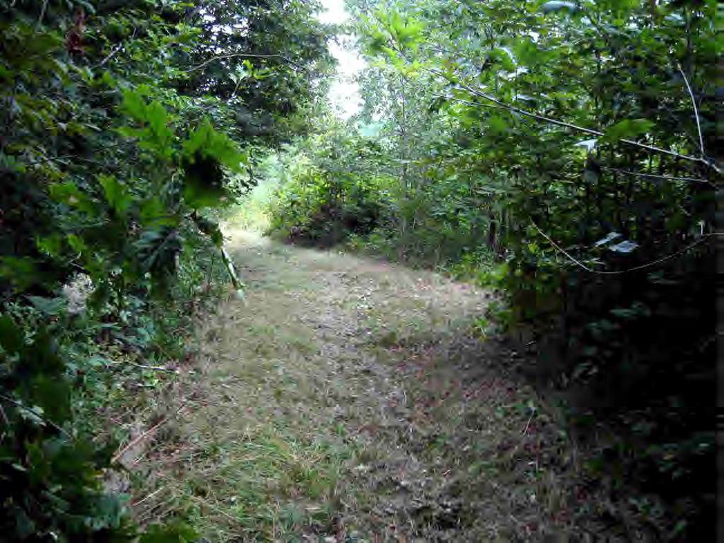 30442 500 Road - Photo 1