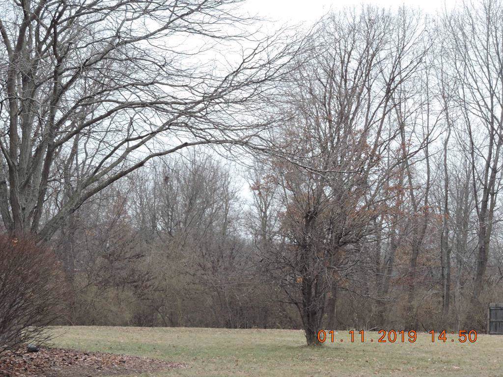 3612 Vermilion - Photo 1