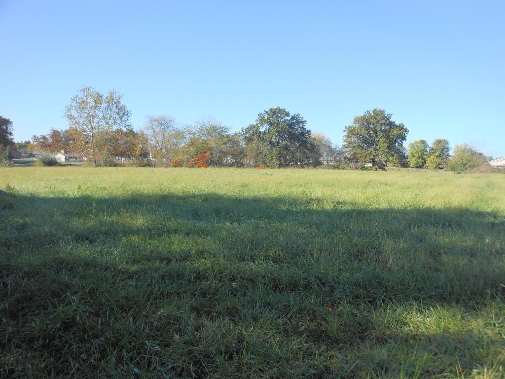 Blohm Avenue - Photo 1