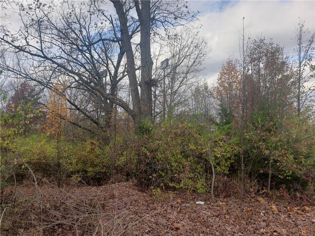 1st Lot S of 1502 Hampton Drive - Photo 1