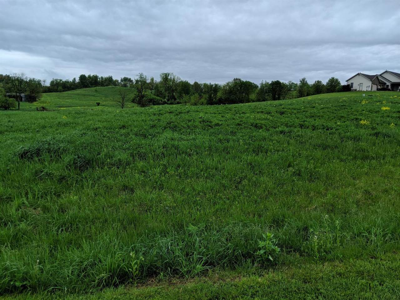 17 Prouty Drive - Photo 1