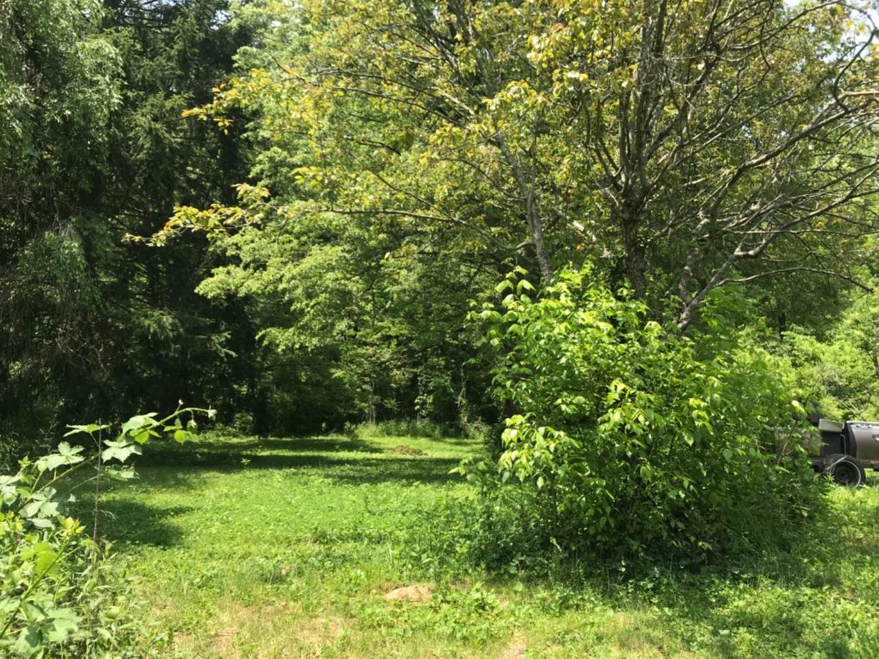 8421 Edgewater Drive - Photo 1
