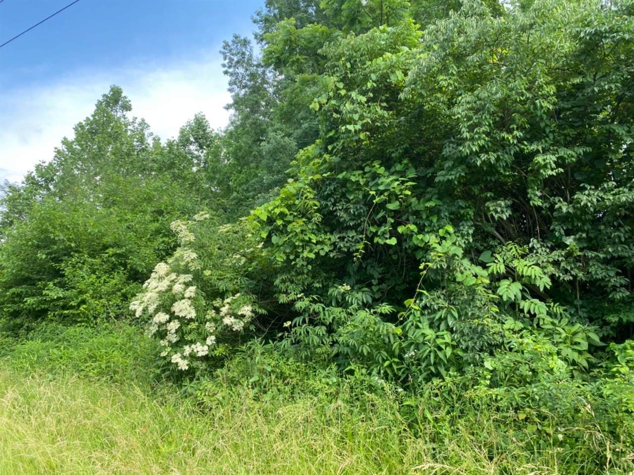 2470 Bethel Hygiene Road - Photo 1