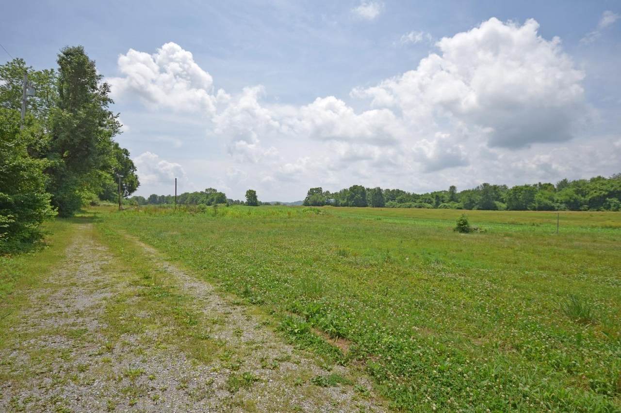 10115 Harrison Avenue - Photo 1