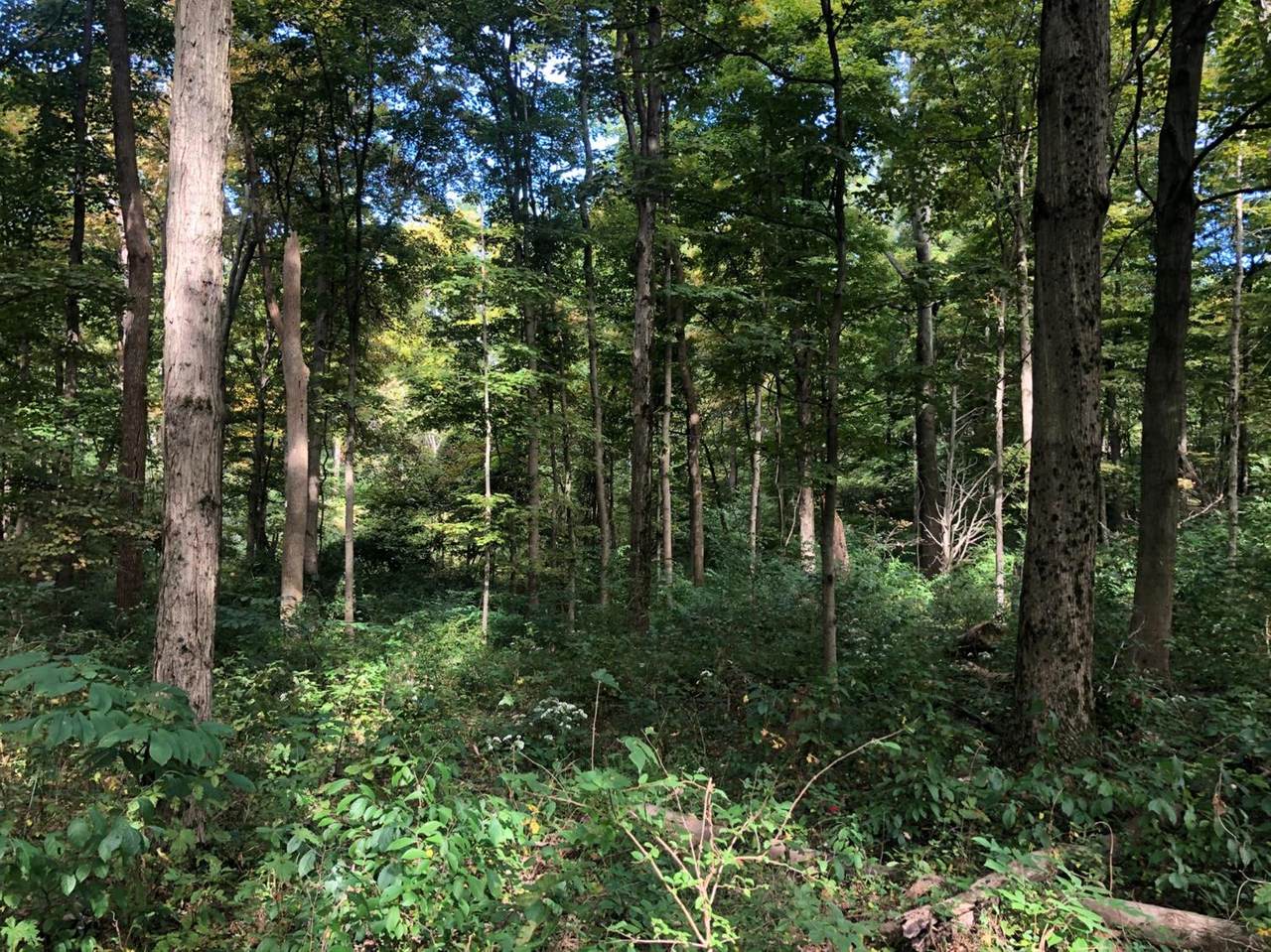 0 Merwin Farms Lane - Photo 1