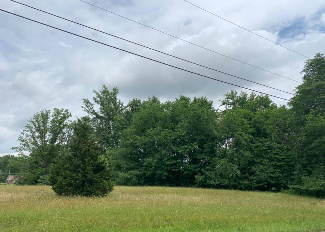 3991 Waynoka Drive - Photo 1