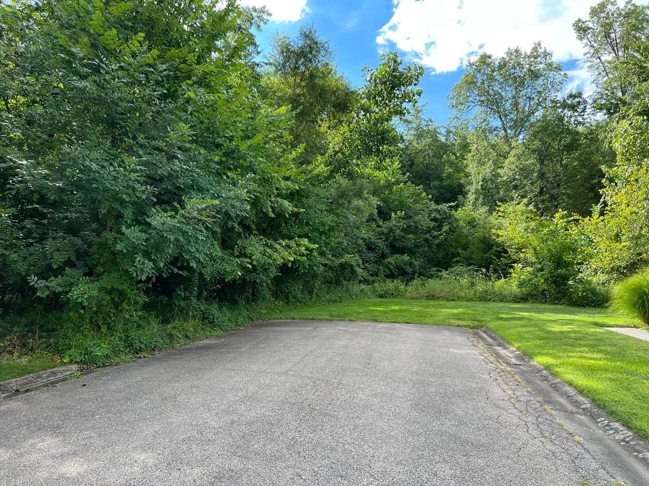 38 Liberty Woods Dr - Photo 1