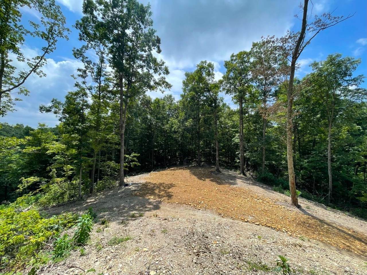 5792 St Rt 781 - Photo 1