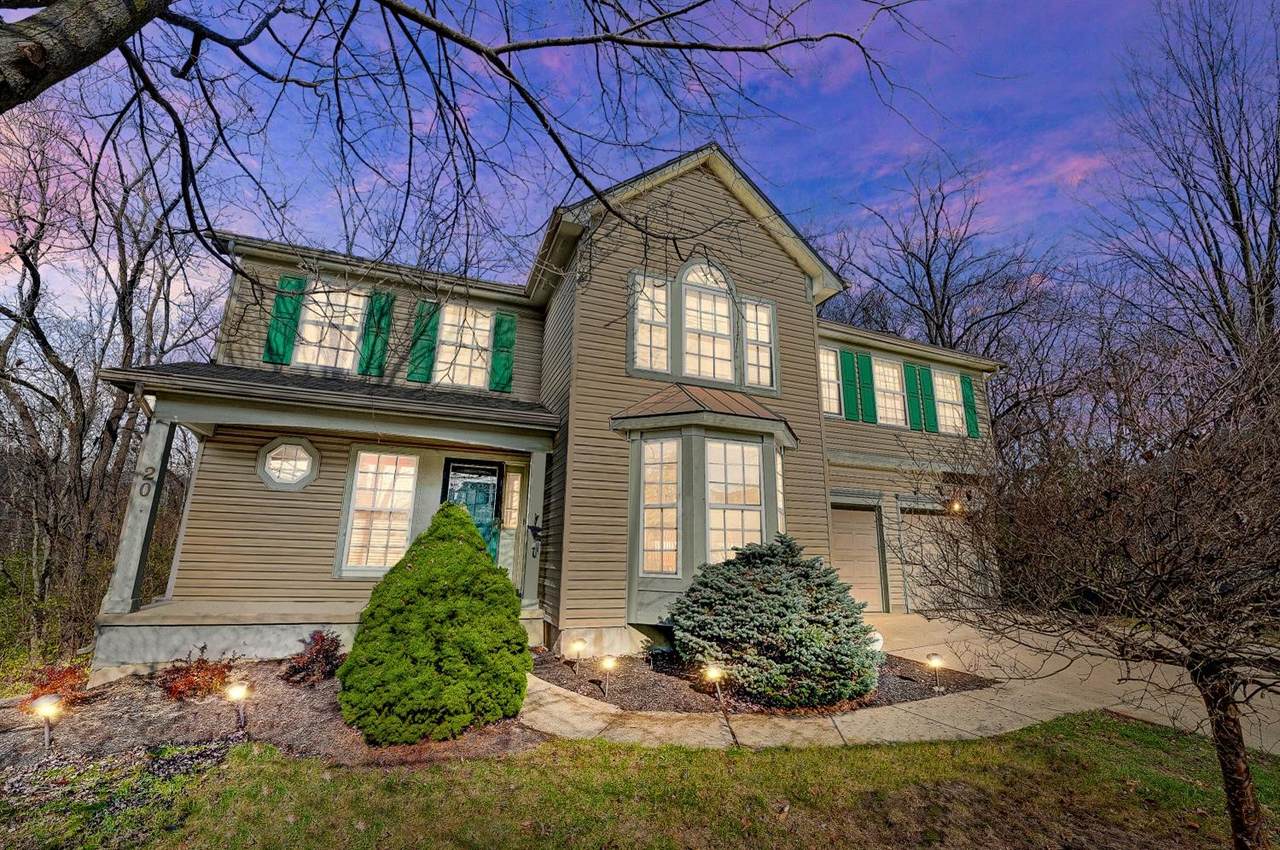 20 Steeplechase Dr - Photo 1