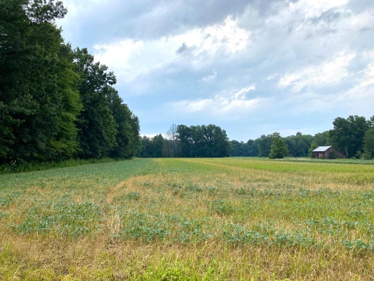 1708 Gum Grove Rd - Photo 1