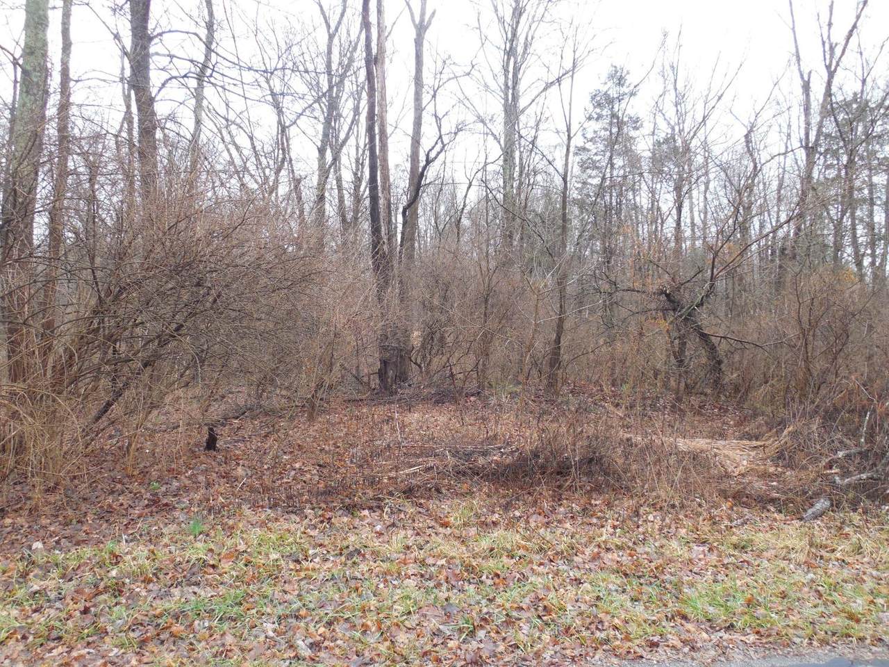 0 Club House Dr & Locust Rd - Photo 1