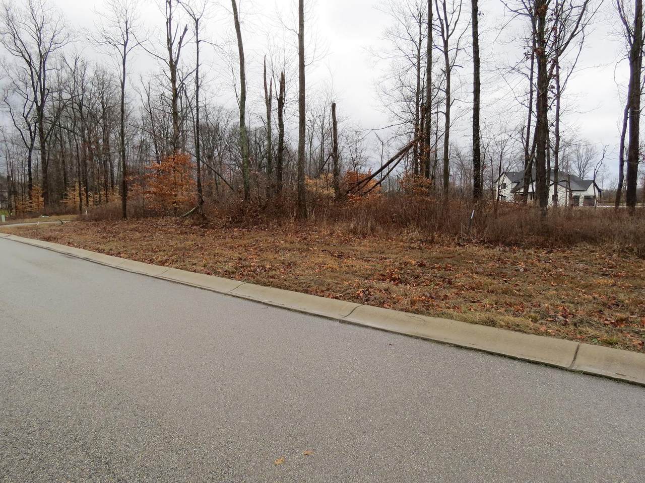 137 Burr Oak Dr - Photo 1