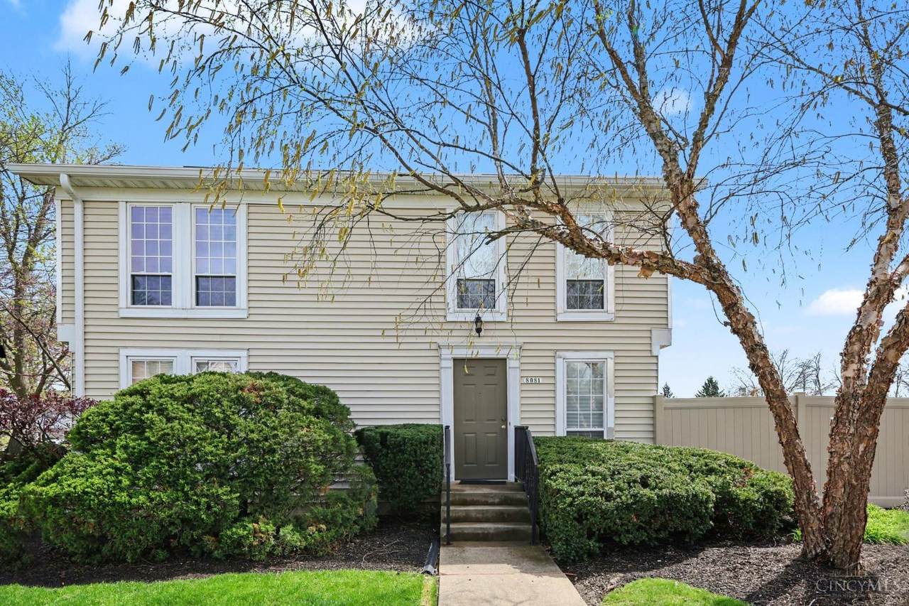 8081 Hetz Drive - Photo 1