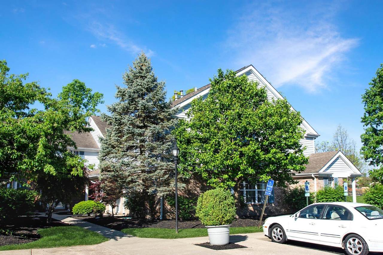 9723 Timberview Court - Photo 1