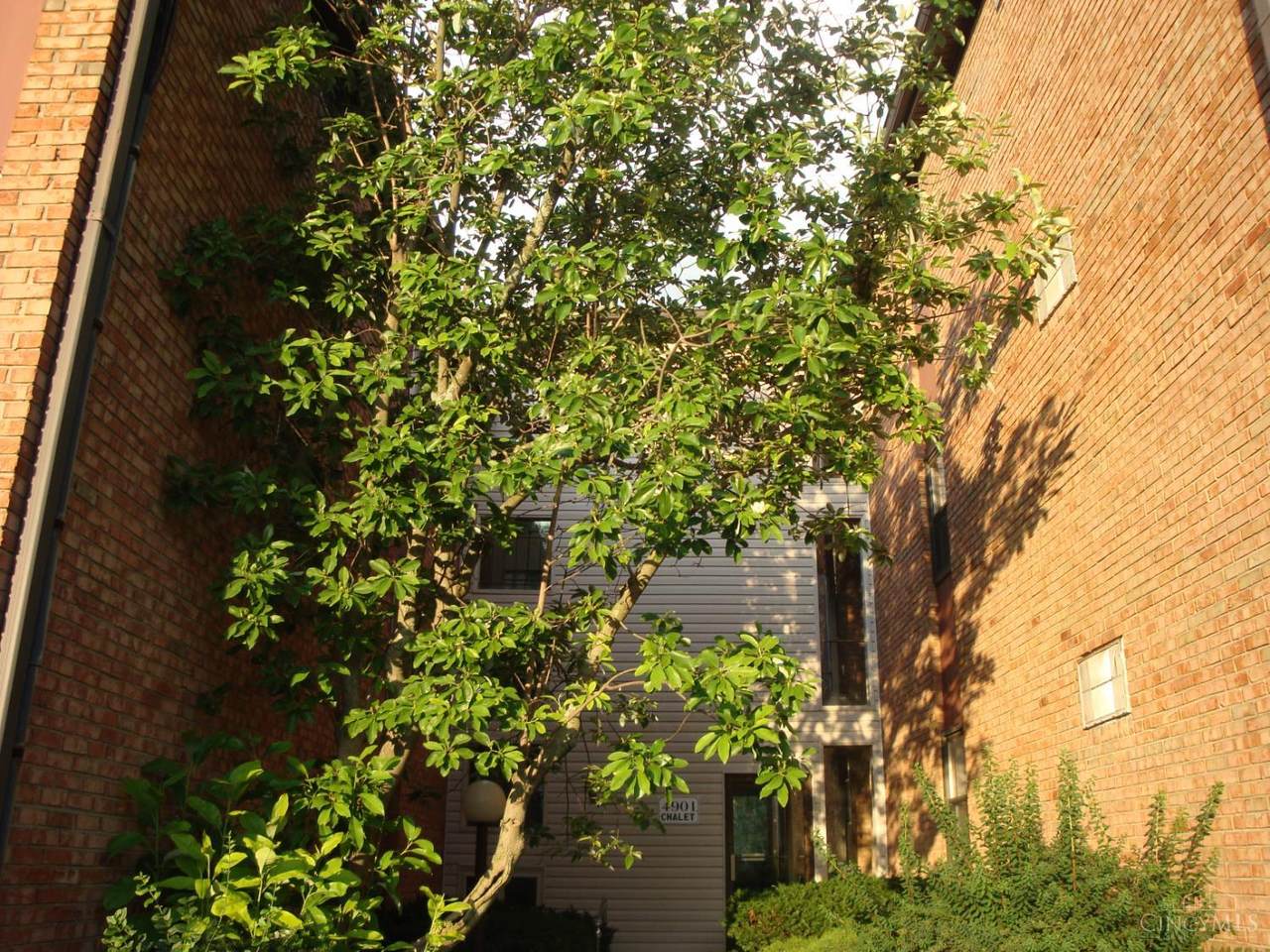 4901 Chalet Drive - Photo 1