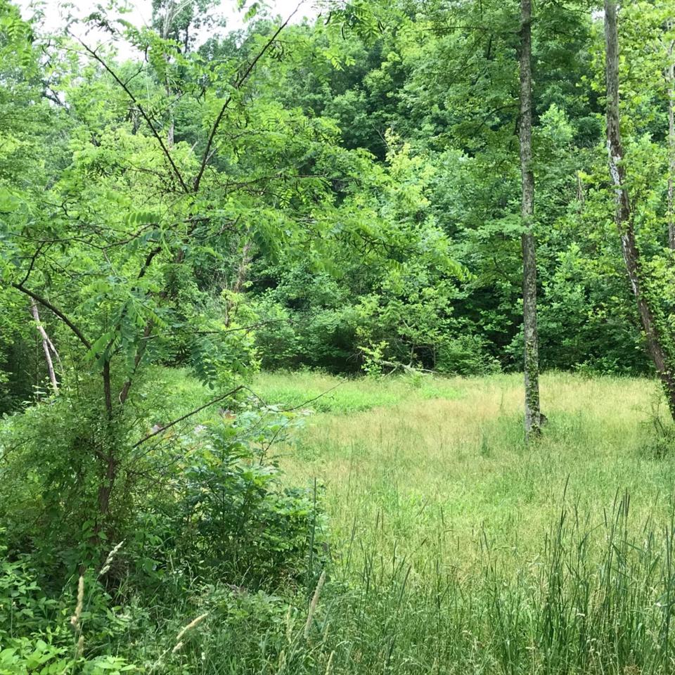 0 Patterson Road - Photo 1