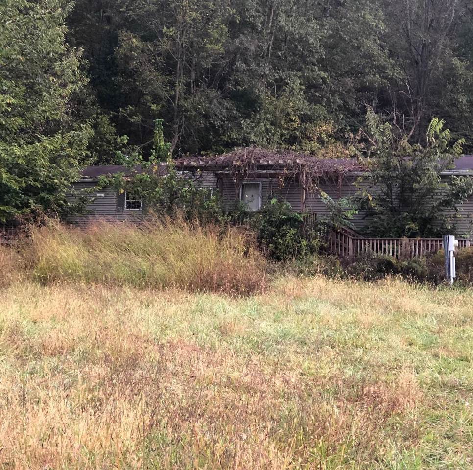 185 Dunbar Road - Photo 1