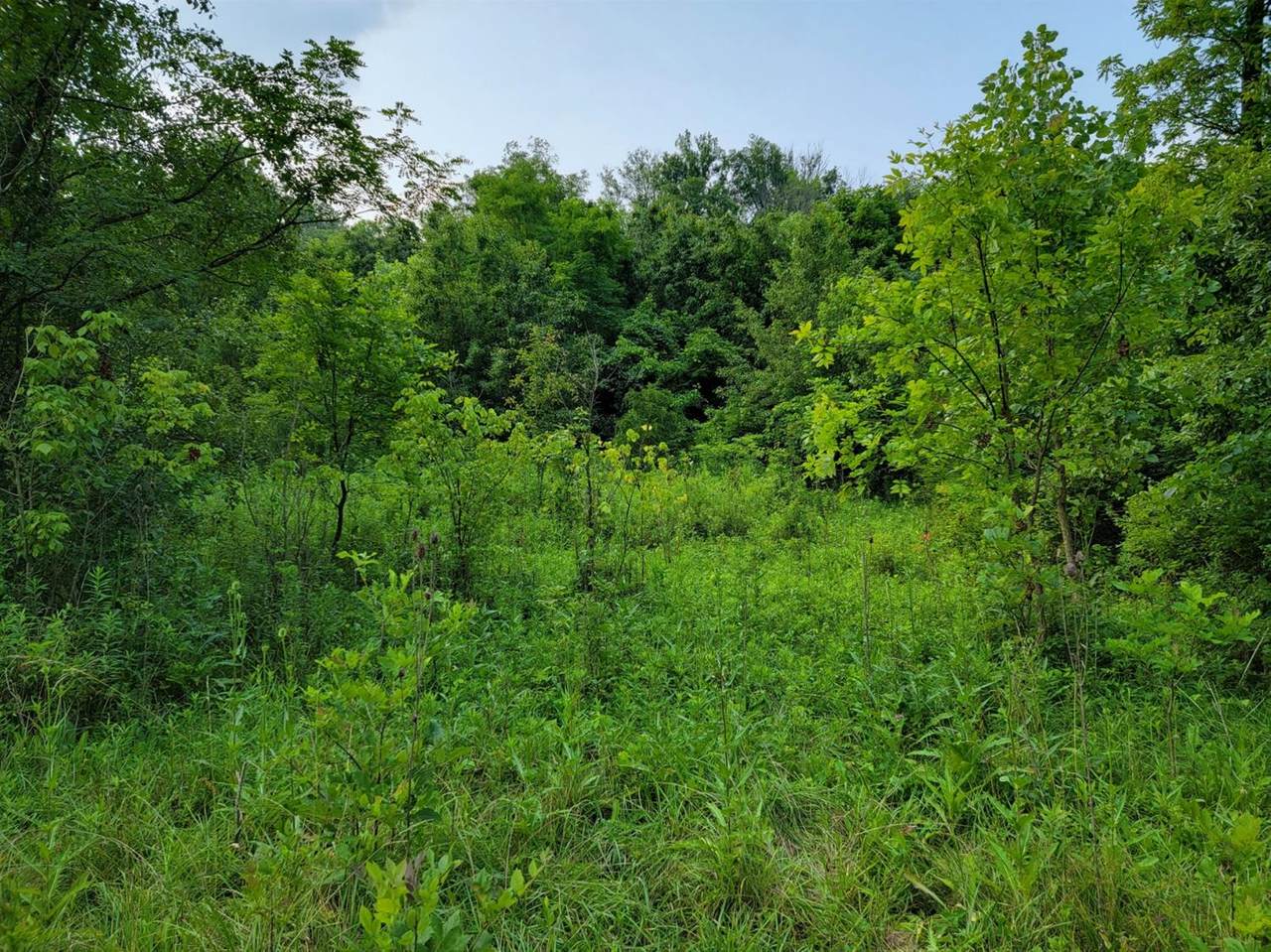 6850 Mullen Rd - Photo 1