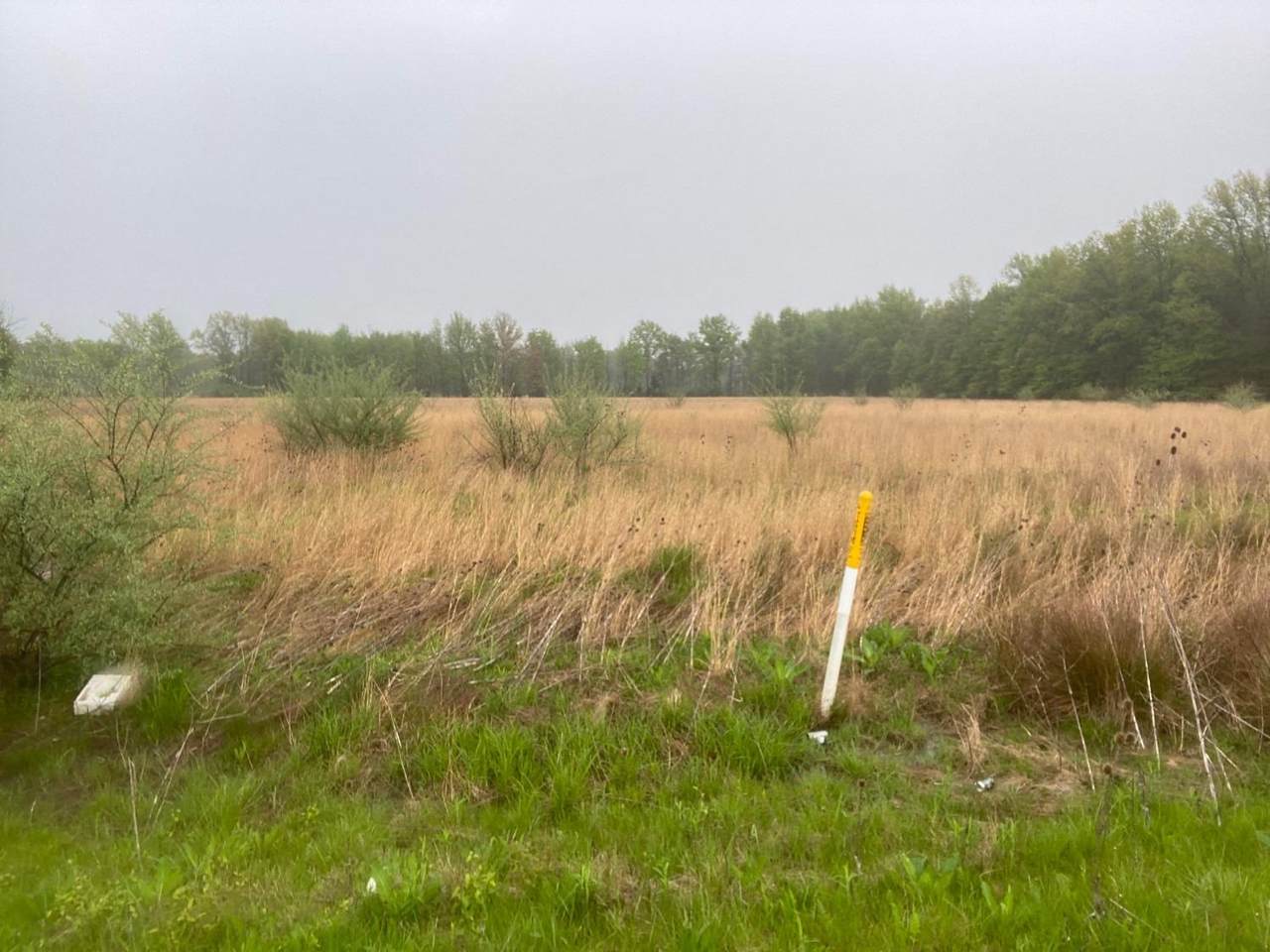 0 Tri County Road - Photo 1