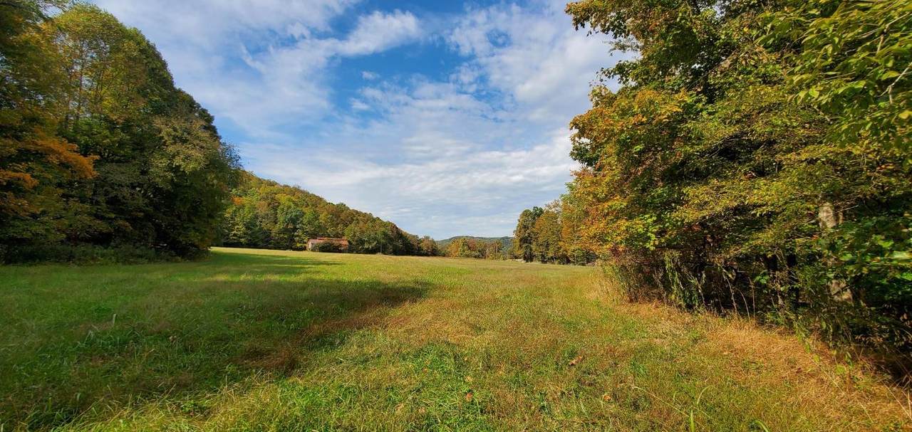 1767 Wintersteen Run Rd - Photo 1