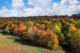 948 Mt Olive Road - Photo 15